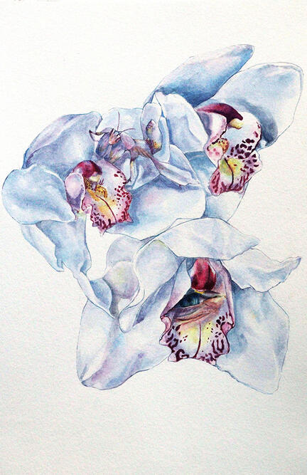 An Orchid in Miami (2022)
