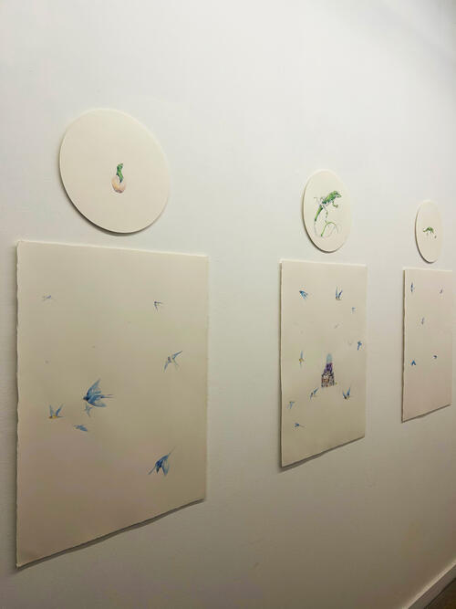 To Catch a Memory, In Skin Left Behind, In the Whisper of Flight (Installation at Laundromat Art Space 2024)