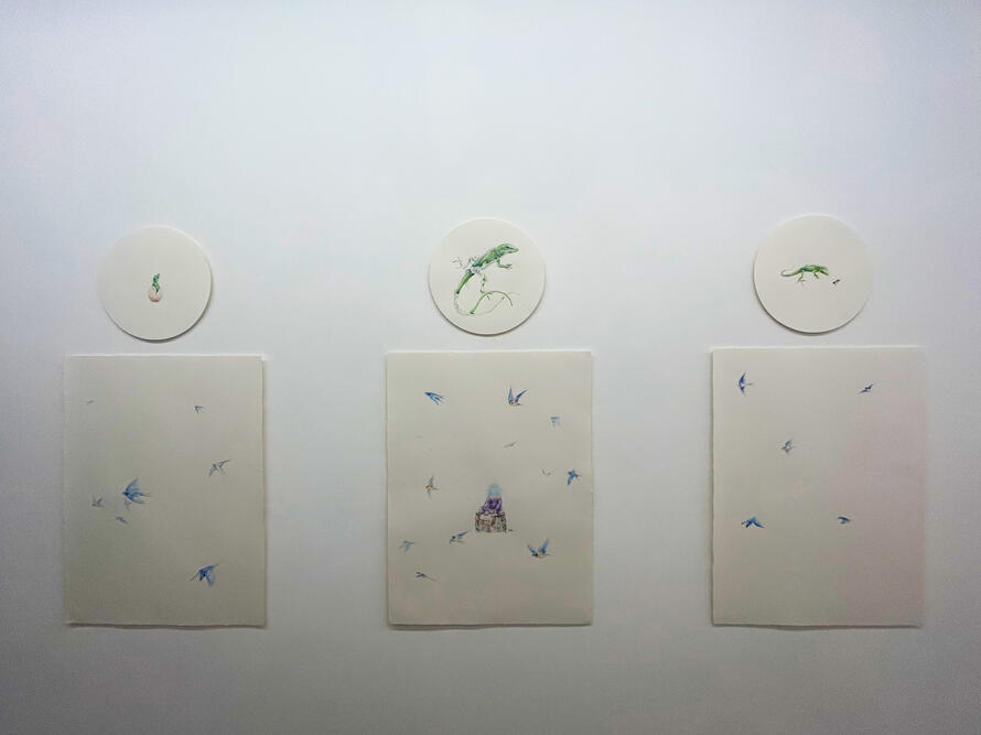 To Catch a Memory, In Skin Left Behind, In the Whisper of Flight (Installation at Laundromat Art Space 2024)